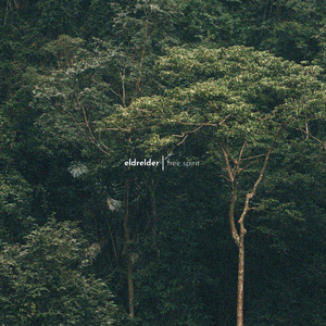 专玩美妇做爱在线观看
