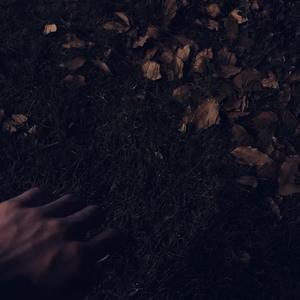 专玩美妇做爱在线观看
