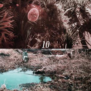 专玩美妇做爱在线观看
