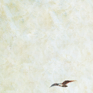 专玩美妇做爱在线观看
